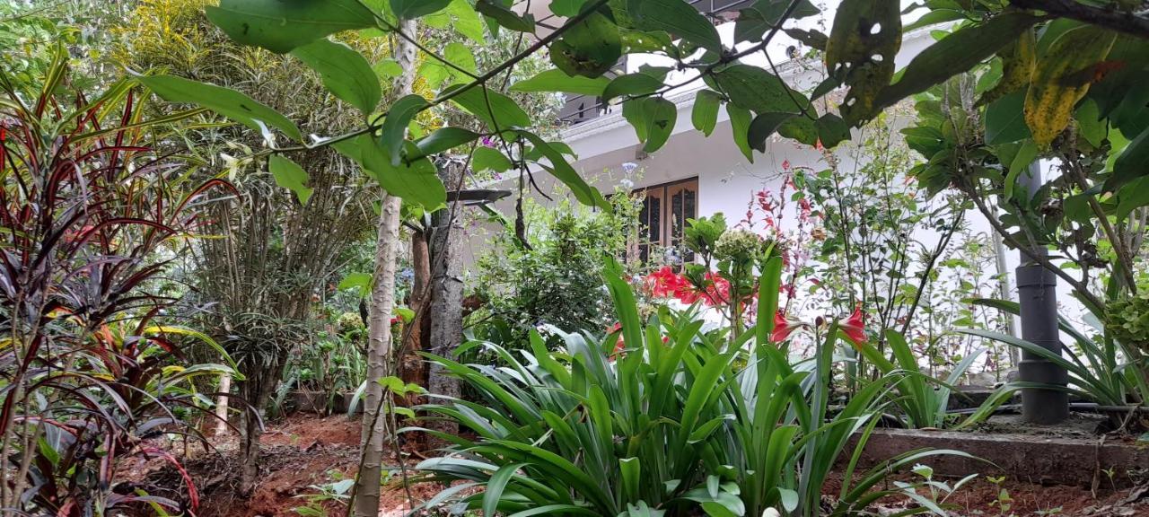 Le Farmhouse Munnar Anachal Buitenkant foto