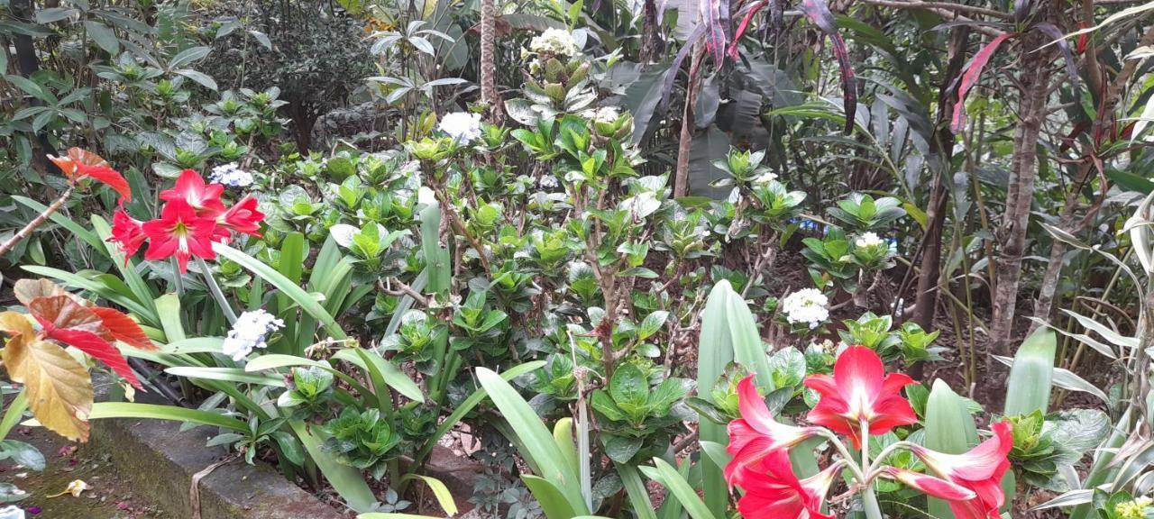 Le Farmhouse Munnar Anachal Buitenkant foto