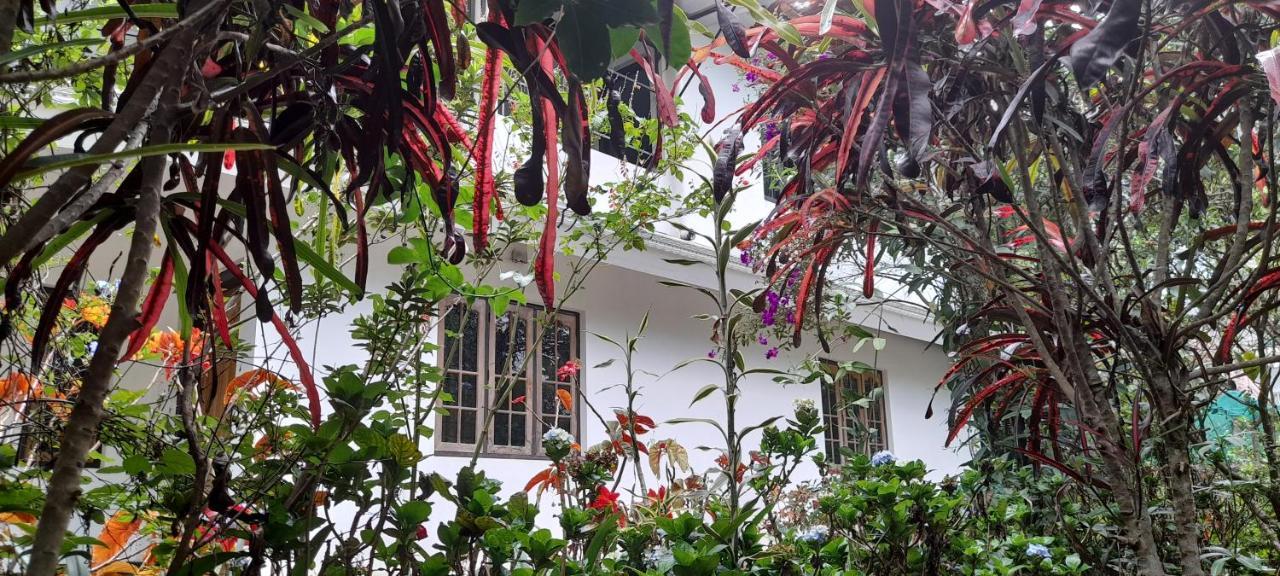 Le Farmhouse Munnar Anachal Buitenkant foto