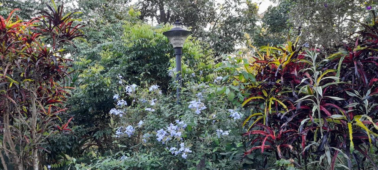 Le Farmhouse Munnar Anachal Buitenkant foto