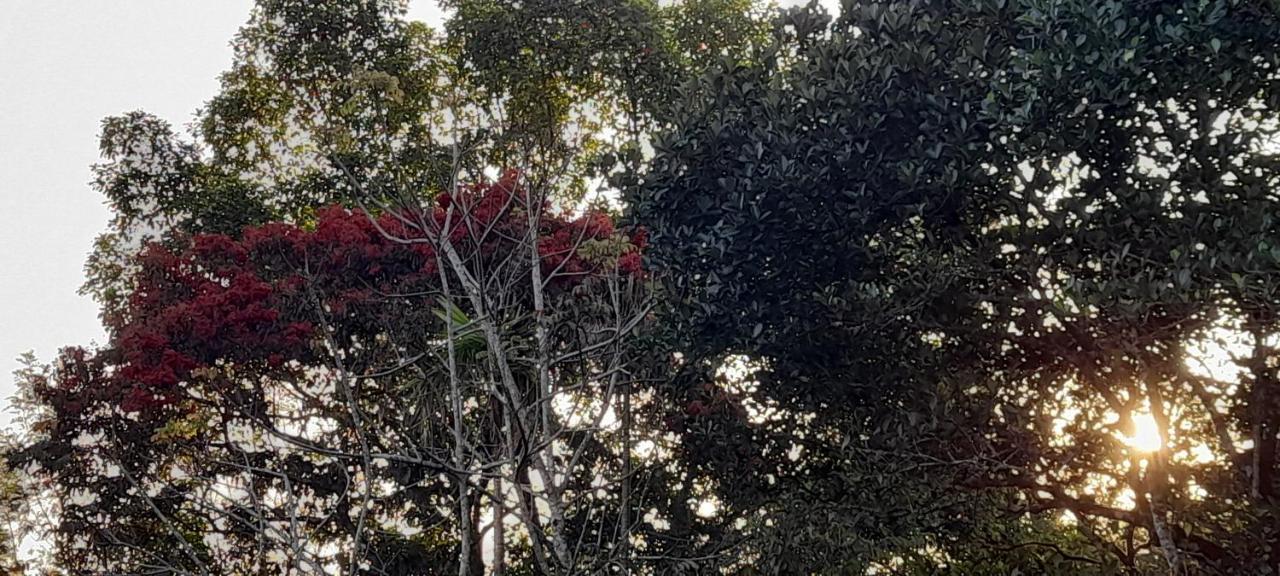 Le Farmhouse Munnar Anachal Buitenkant foto