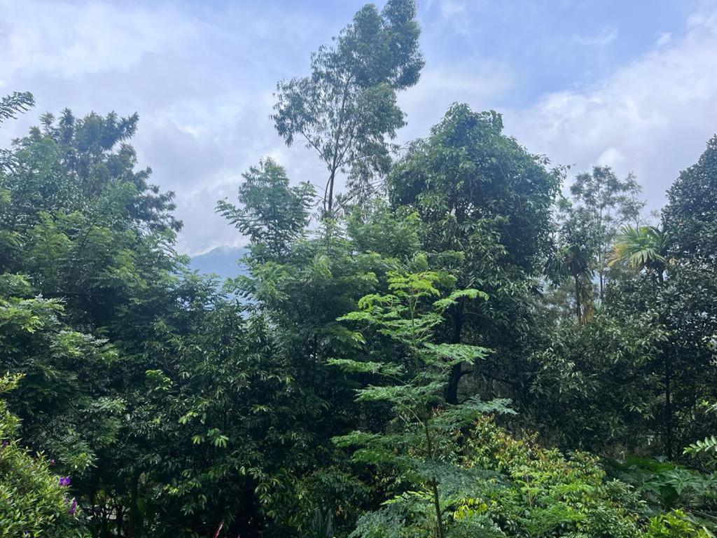 Le Farmhouse Munnar Anachal Buitenkant foto